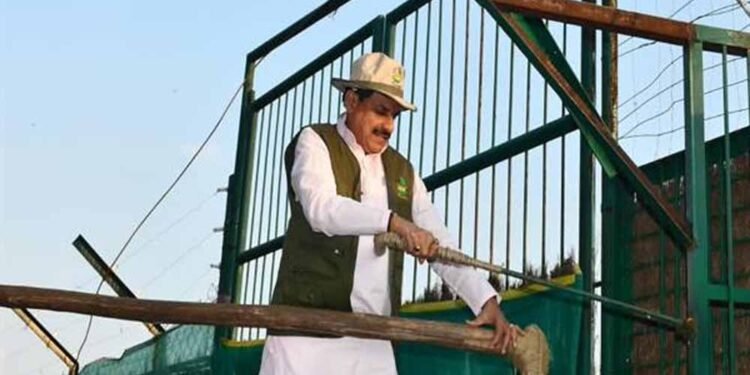 कान्हा टाइगर रिजर्व में 100 साल बाद लौटी जंगली भैंसों की रौनक, CM मोहन यादव ने 8 भैंसों को छोड़ा