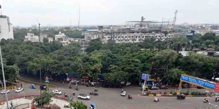 इंदौर में 182 हरे-भरे पेड़ों की कटाई को हाई कोर्ट की सशर्त मंजूरी, हजारों पक्षी होंगे प्रभावित