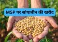सोयाबीन उपार्जन के लिए किसानों का पंजीयन 3 से 17 अक्टूबर तक