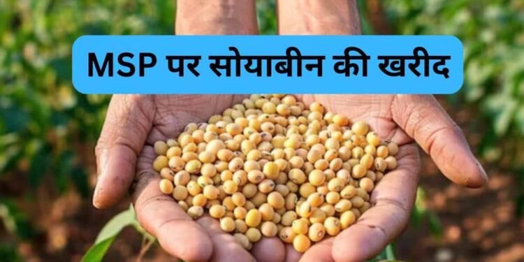 सोयाबीन उपार्जन के लिए किसानों का पंजीयन 3 से 17 अक्टूबर तक
