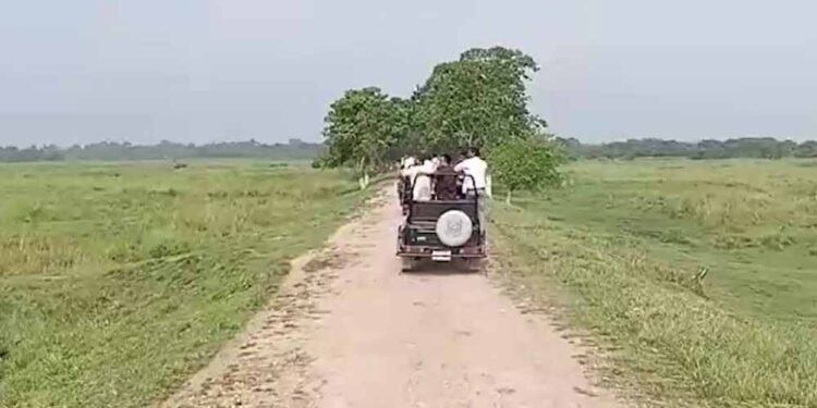 असम के जंगलों में लौटी रौनक, मानस-काजीरंगा में सफारी शुरू; 13 अक्टूबर को खुलेगा पोबितोरा