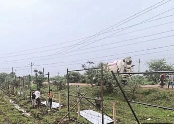 भिलाई नगर निगम की अनूठी पहल: जल प्रबंधन को बेहतर बनाने के लिए तैयार होगी एकीकृत योजना