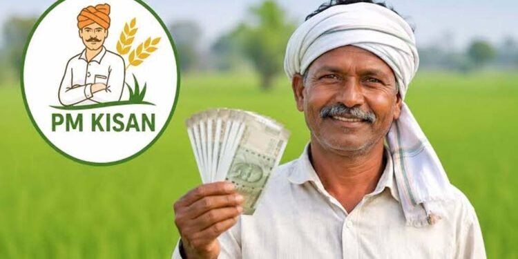 PM Kisan 24वीं किस्त पर बड़ा अपडेट, अक्टूबर में खाते में आ सकते हैं ₹2,000; जानें पूरी डिटेल