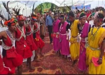 सेवा संकल्प अभियान में कलेक्टर ने ग्रामीणों संग किया मांदरी नृत्य