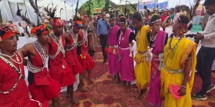 सेवा संकल्प अभियान में कलेक्टर ने ग्रामीणों संग किया मांदरी नृत्य