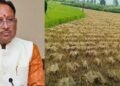 CM साय का बड़ा निर्देश, ‘अर्नब’ चक्रवात से फसल नुकसान का होगा सर्वे; जल्द मिलेगा मुआवजा