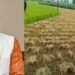 CM साय का बड़ा निर्देश, ‘अर्नब’ चक्रवात से फसल नुकसान का होगा सर्वे; जल्द मिलेगा मुआवजा
