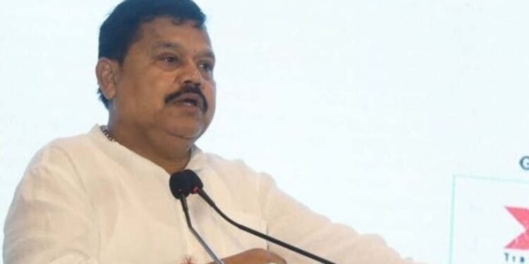 बिजली की कमी को दूर करने प्रयास जारी : ऊर्जा मंत्री तोमर