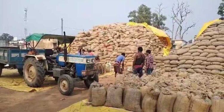 धान बेचने के लिए अब सोसायटियों में लंबी कतारों की जरूरत नहीं, ‘तुंहर टोकन’ एप से घर बैठे मिलेगा टोकन