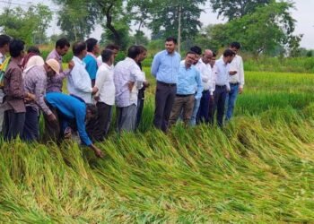 अर्नब तूफान से प्रभावित किसानों को राहत देने सक्रिय हुआ प्रशासन, फसल क्षति का सर्वे शुरू