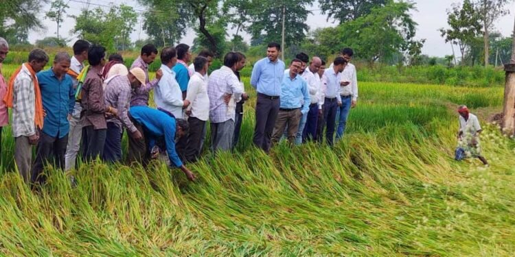 अर्नब तूफान से प्रभावित किसानों को राहत देने सक्रिय हुआ प्रशासन, फसल क्षति का सर्वे शुरू