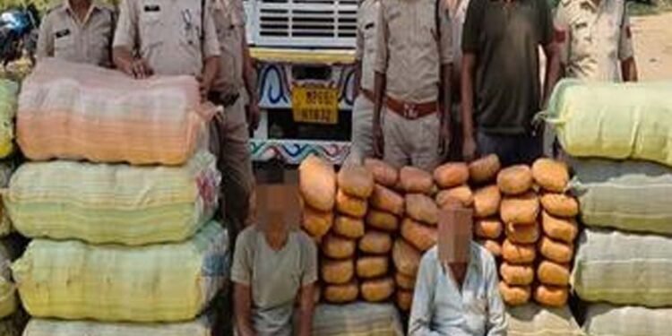 मध्यप्रदेश पुलिस की अवैध मादक पदार्थ के विरुद्ध बड़ी कार्रवाई