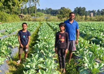 फूलगोभी की उन्नत खेती से प्रमोद सिंह को मिला 1.50 लाख रुपए का लाभ