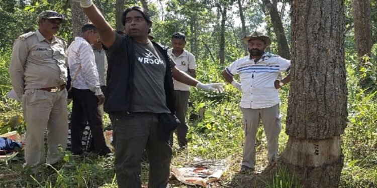 छत्तीसगढ़ के उदंती में 3500 पेड़ों को सुखाने की साजिश! बेंगलुरु से पहुंचे ट्री डॉक्टर ने संभाला मोर्चा